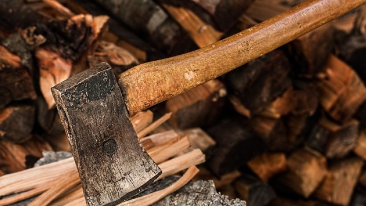 Снимка: Pixabay