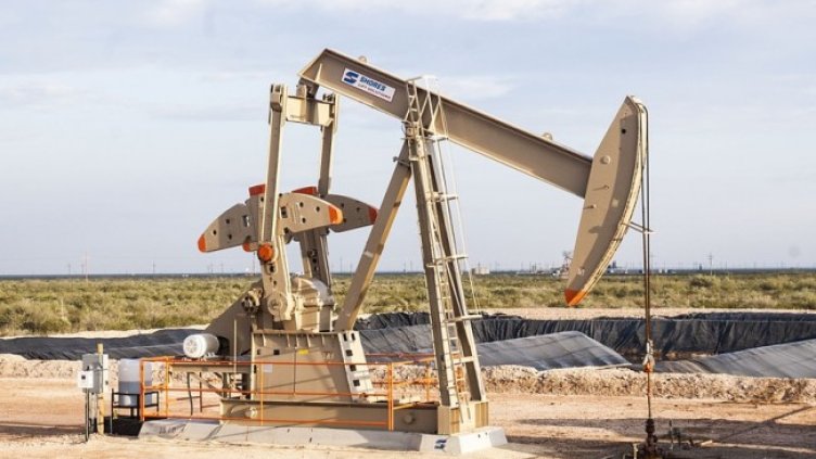 Снимка: Pixabay