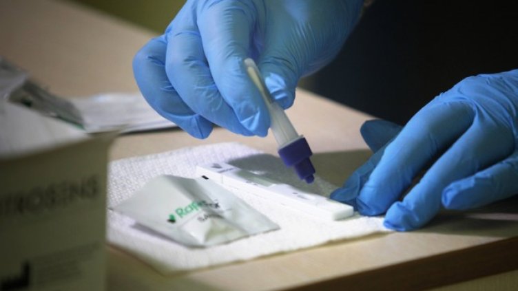 Снимка: Димитър Кьосемарлиев, Dnes.bg