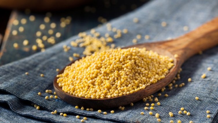 Снимка: Istock