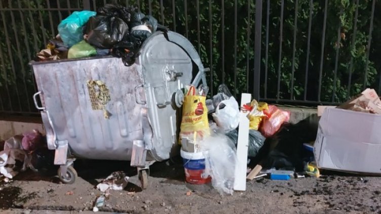 Снимка: Helpbook