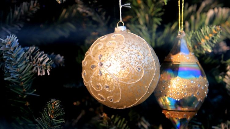 Снимка: БГНЕС, архив