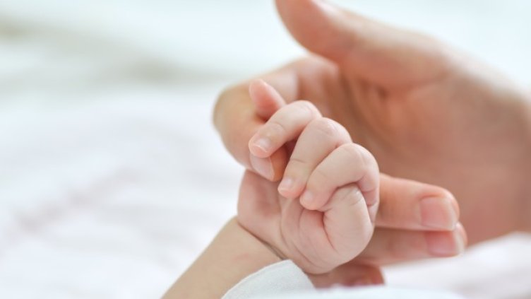 Снимка: Pixabay