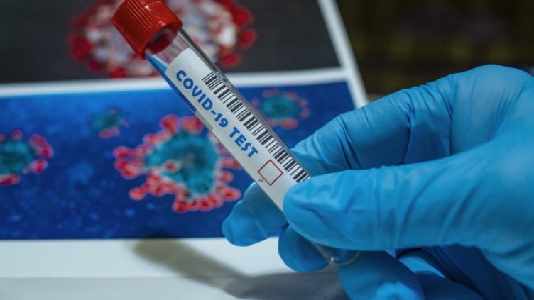 Снимка: Pixabay