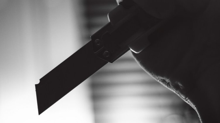 Снимка: Pixabay