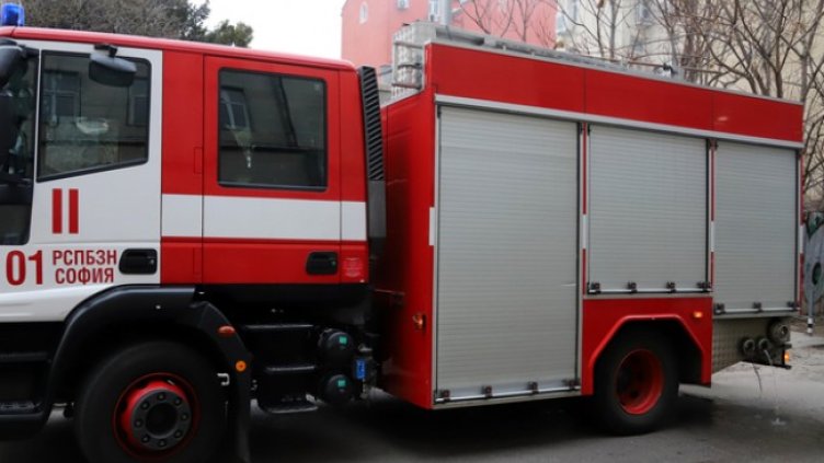 Снимка: БГНЕС