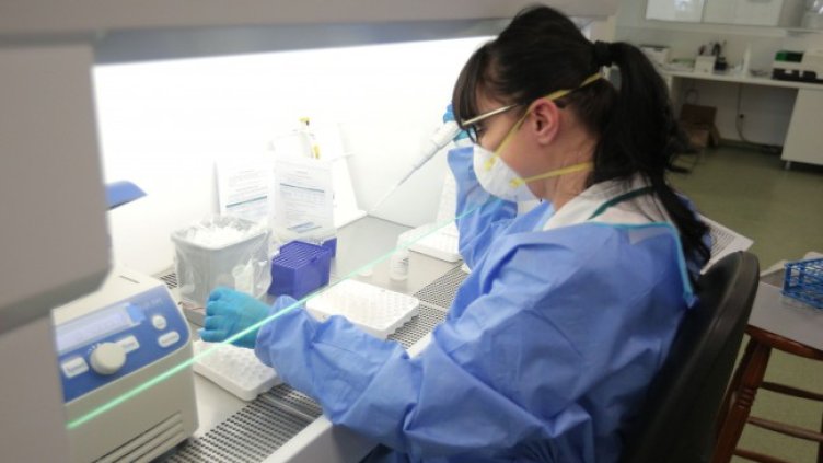 Снимка: Димитър Кьосемарлиев, Dnes.bg