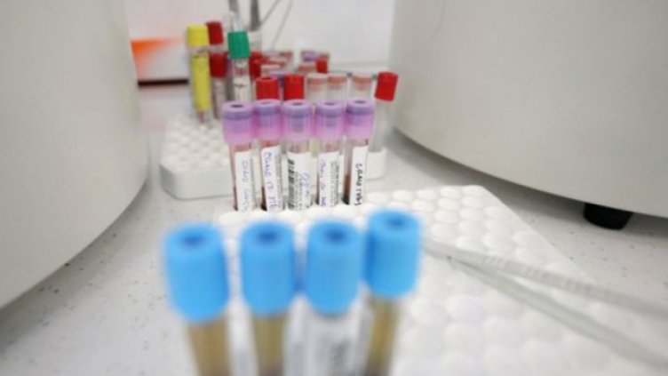 Снимка: Димитър Кьосемарлиев