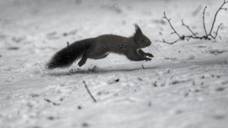 Снимка: Димитър Кьосемарлиев, Dnes.bg