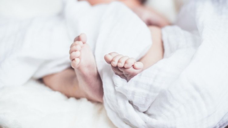 Снимка: Pixabay