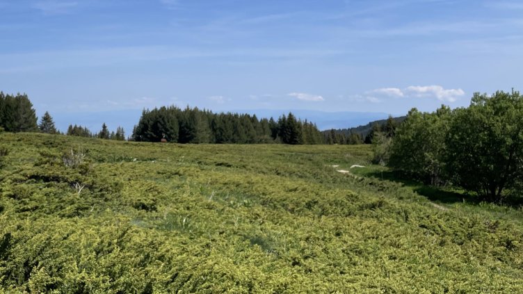 Снимка: архив, БГНЕС