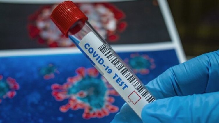 Снимка: Pixabay