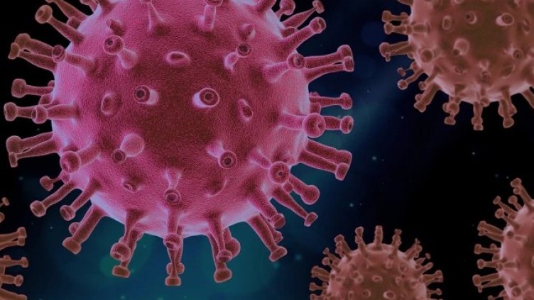 Снимка: Pixabay