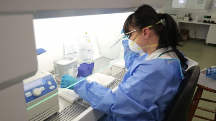 Снимка: БГНЕС