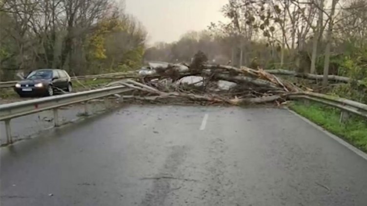 Кадър: Нова тв