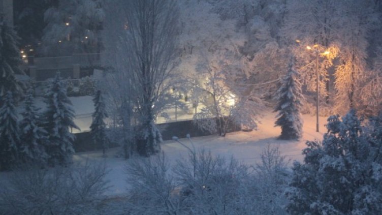 Снимка: Ерол Емилов, Dnes.bg