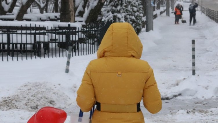 Снимка: БГНЕС