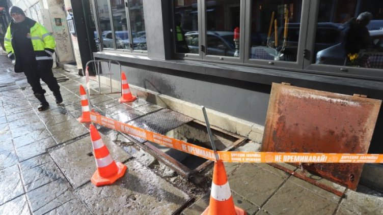 Снимка: БГНЕС