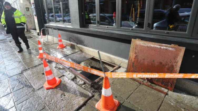 Снимка: БГНЕС