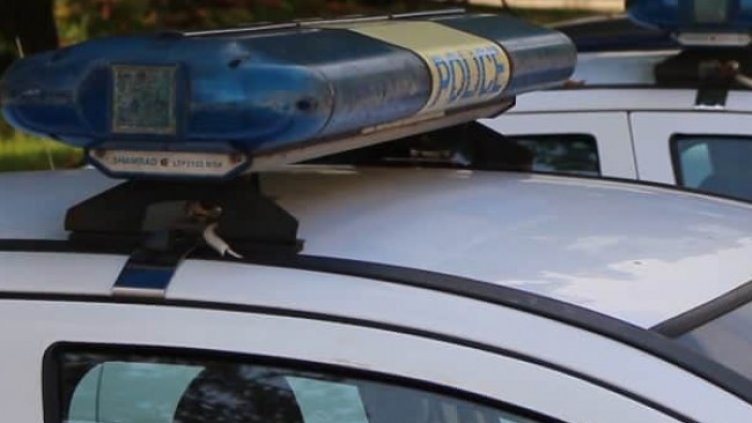 Снимка: архив, БГНЕС