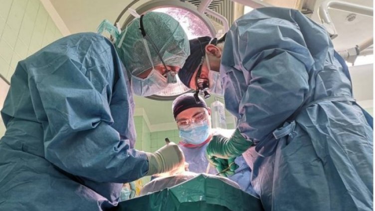 Снимка: архив, БГНЕС