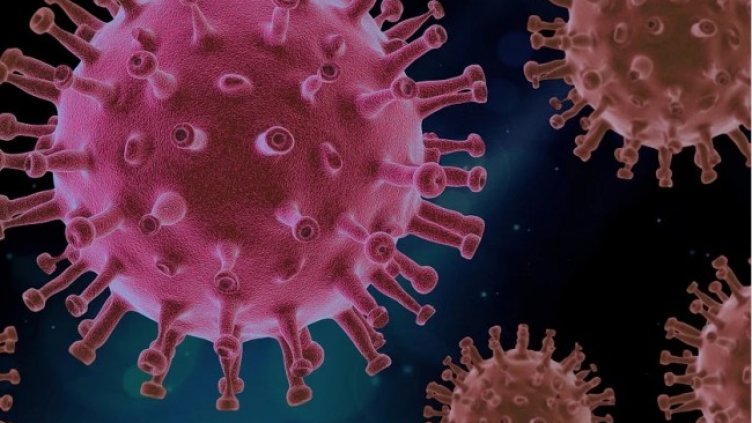 Снимка: Pixabay