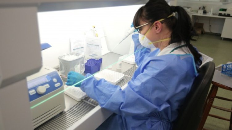 Снимка: Димитър Кьосемарлиев, Dnes.bg