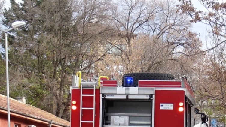 Снимка: БГНЕС