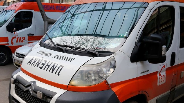 Снимка: архив, БГНЕС