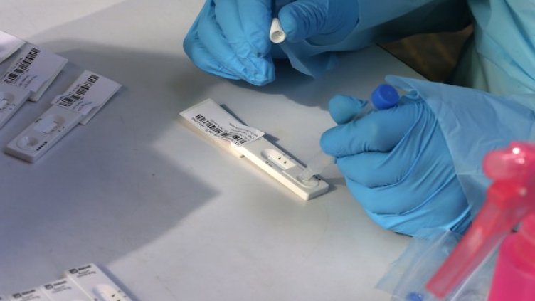 Снимка: архив, БГНЕС