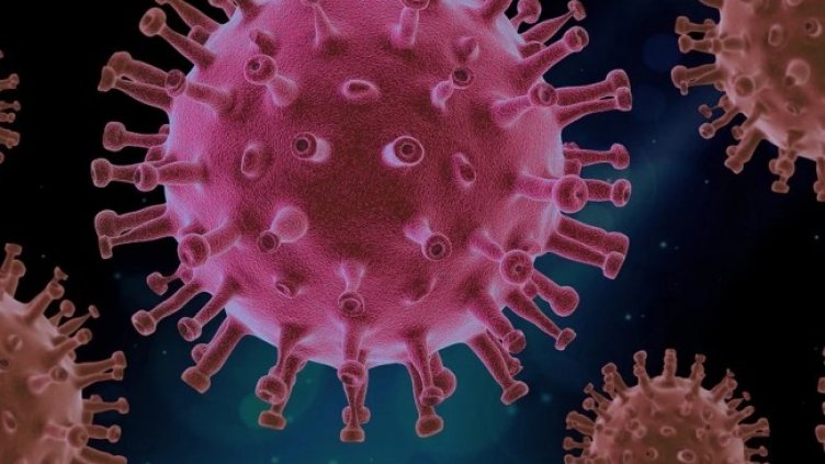 Снимка: Pixabay