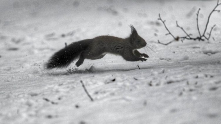 Снимка: Димитър Кьосемарлиев, Dnes.bg