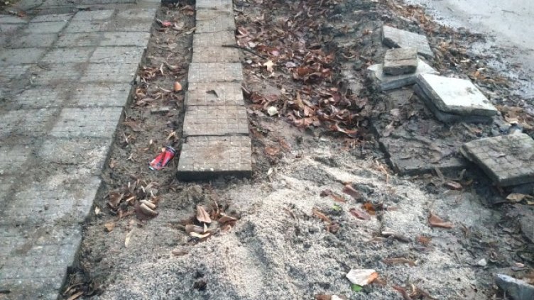 Снимка: Helpbook