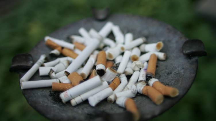 Снимка: архив, БГНЕС