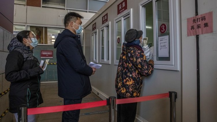 Снимка: архив, БГНЕС