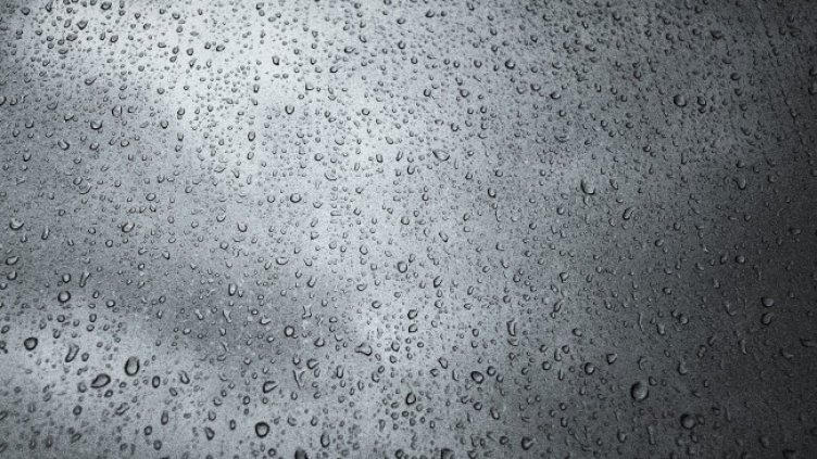 Снимка: Pixabay