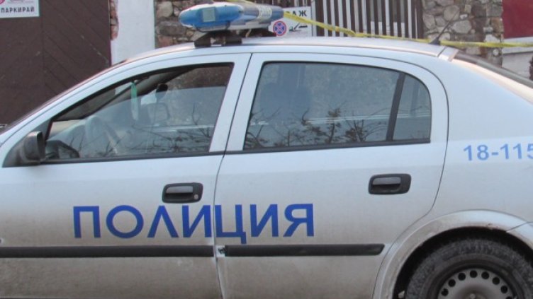 Снимка: архив, БГНЕС