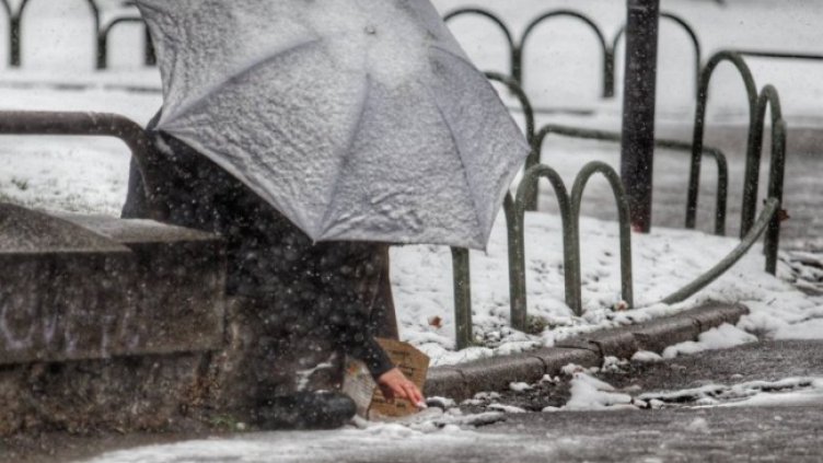 Снимка: Димитър Кьосемарлиев, Dnes.bg