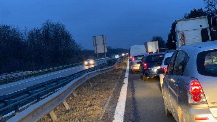 Снимка: БГНЕС