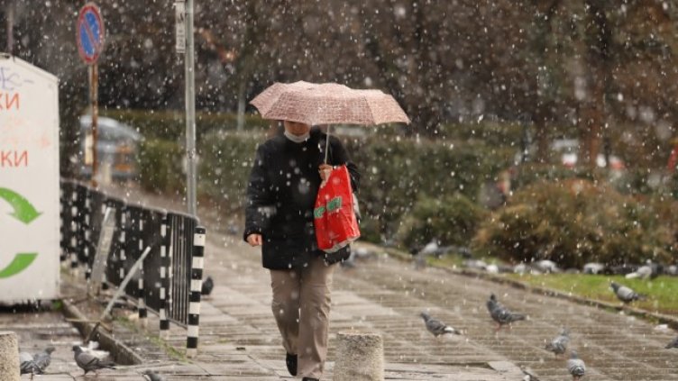 Снимка: БГНЕС