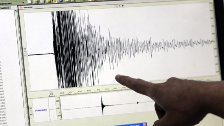 Снимка: архив, БГНЕС