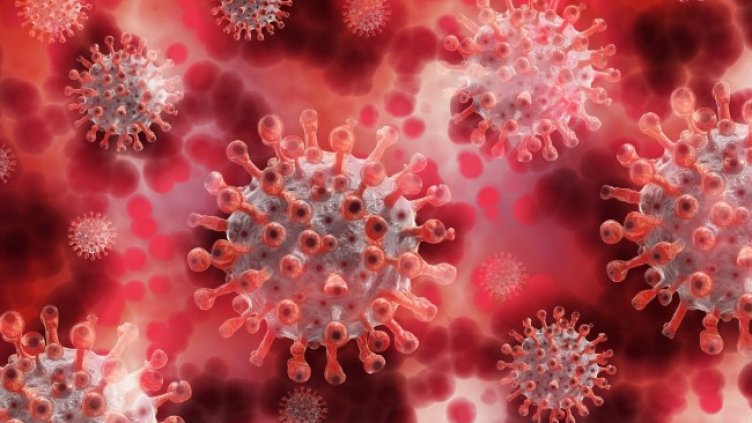 Снимка: Pixabay