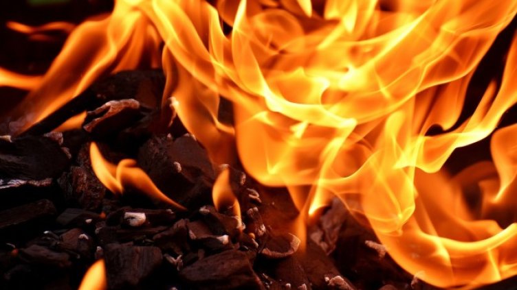 Снимка: Pixabay