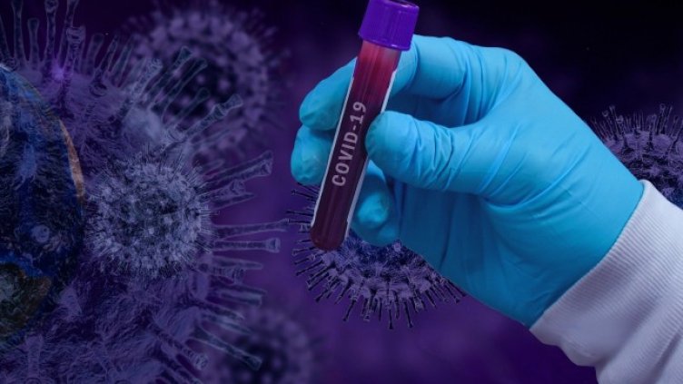 Снимка: Pixabay