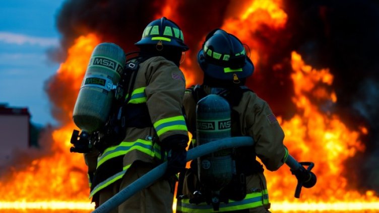 Снимка: Pixabay