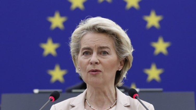 Снимка: архив, БГНЕС