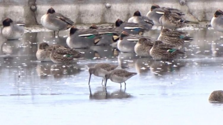 Снимка: БДЗП