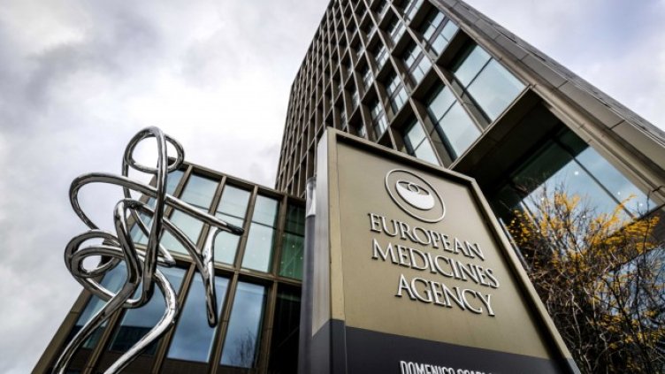 Снимка: архив, БГНЕС