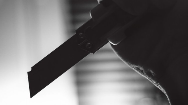 Снимка: Pixabay