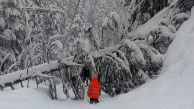 Снимка: БГНЕС